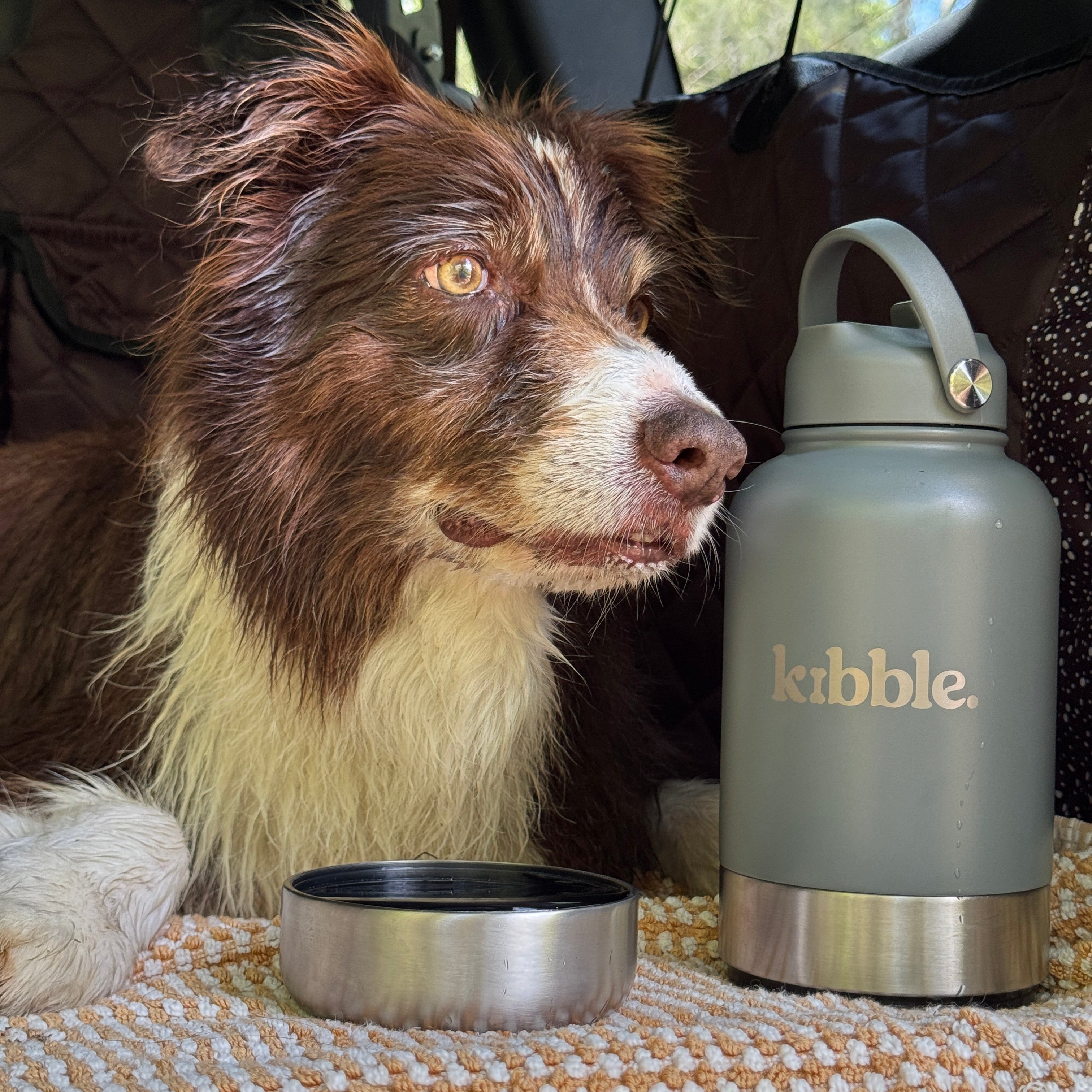 The Fetch Water Bottle