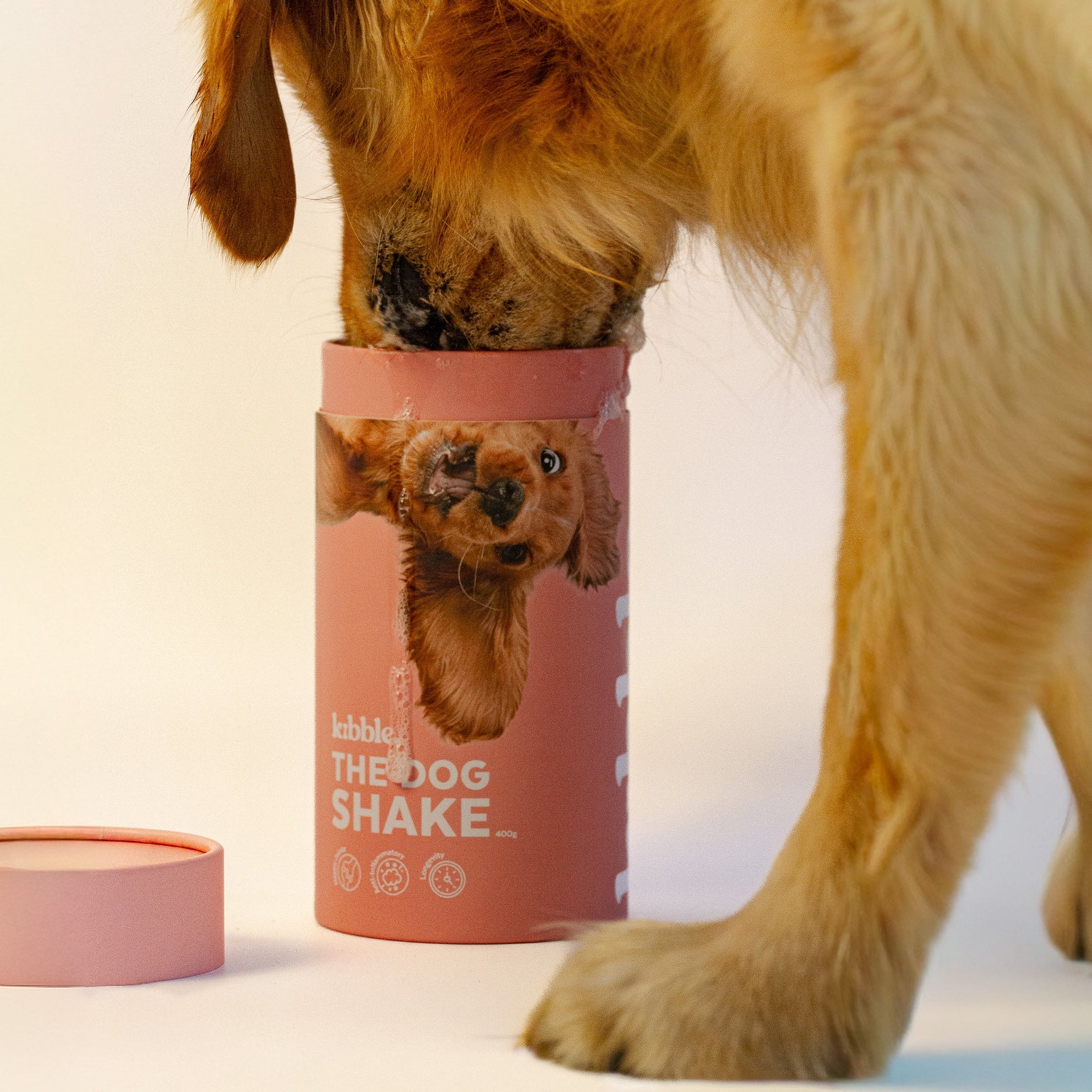 The Dog Shake